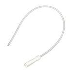 قسطرة بول نيلتون